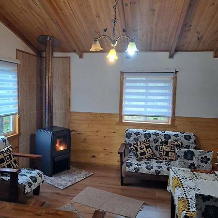 Cabanas Robinson Puerto Puyuguapi Eksteriør billede